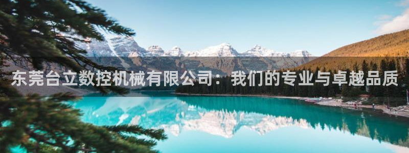 天辰娱乐路线:东莞台立数控机械有限公司:我们的专业与卓越品质