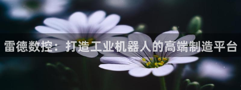 天辰水娱乐:雷德数控:打造工业机器人的高端制造平台