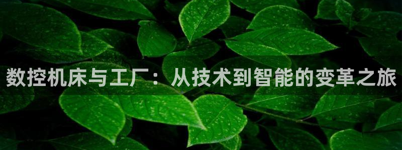 天辰娱乐跑的快:数控机床与工厂:从技术到智能的变革之旅