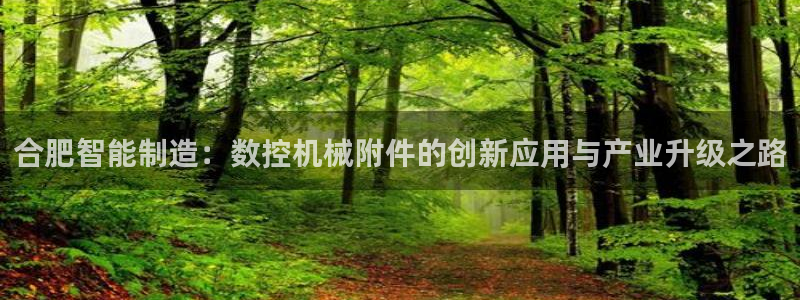 天辰娱乐视频:合肥智能制造:数控机械附件的创新应用与产业升级之路