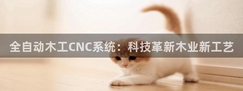 天辰在线娱乐:全自动木工CNC系统:科技革新木业新工艺