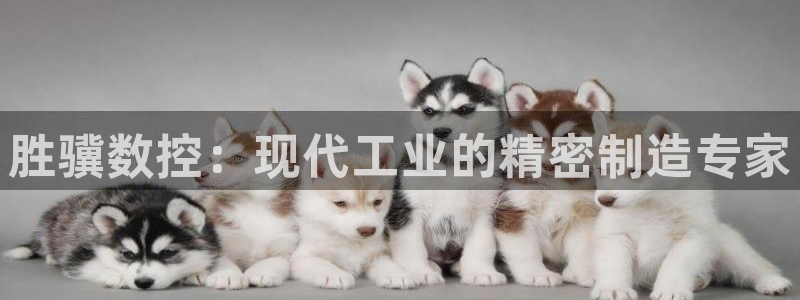 天辰娱乐客服:胜骥数控:现代工业的精密制造专家