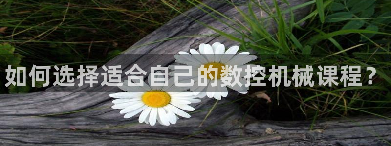 天辰娱乐官网平台下载:如何选择适合自己的数控机械课程?
