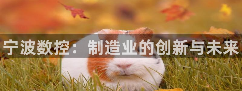 天辰娱乐44616:宁波数控:制造业的创新与未来