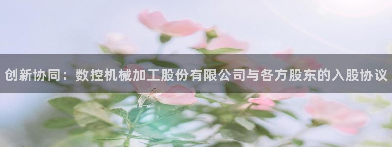 天辰娱乐主管:创新协同:数控机械加工股份有限公司与各方股东的入股协议