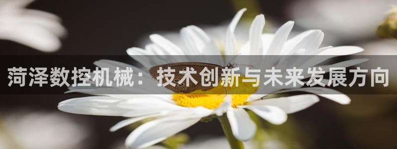 天辰臣娱乐:菏泽数控机械:技术创新与未来发展方向