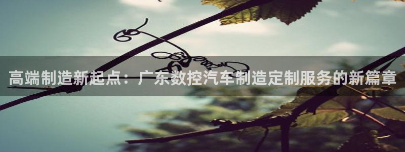 天辰娱乐官方:高端制造新起点:广东数控汽车制造定制服务的新篇章