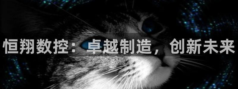 天辰娱乐557448:恒翔数控:卓越制造,创新未来